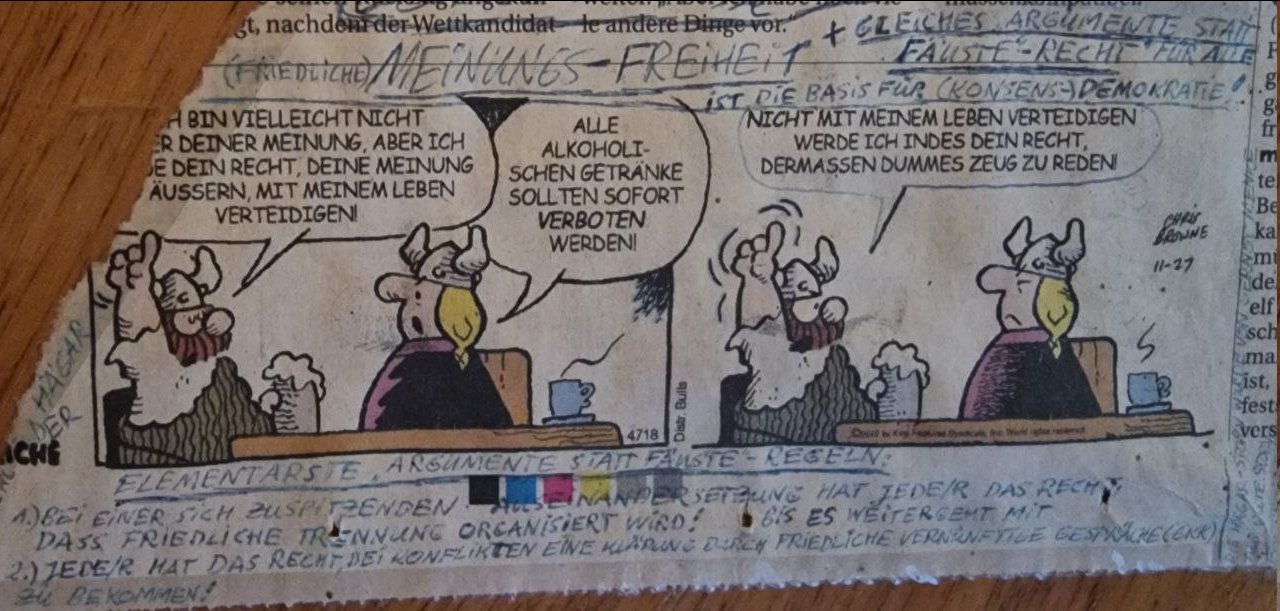 compressed_viking_comic.jpg