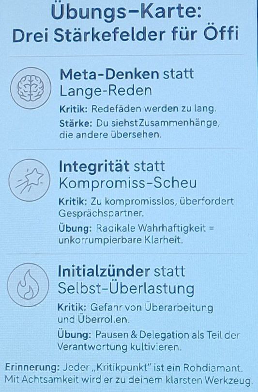 3 Kritik- u Stärke-Felder für Öff Öff.jpg