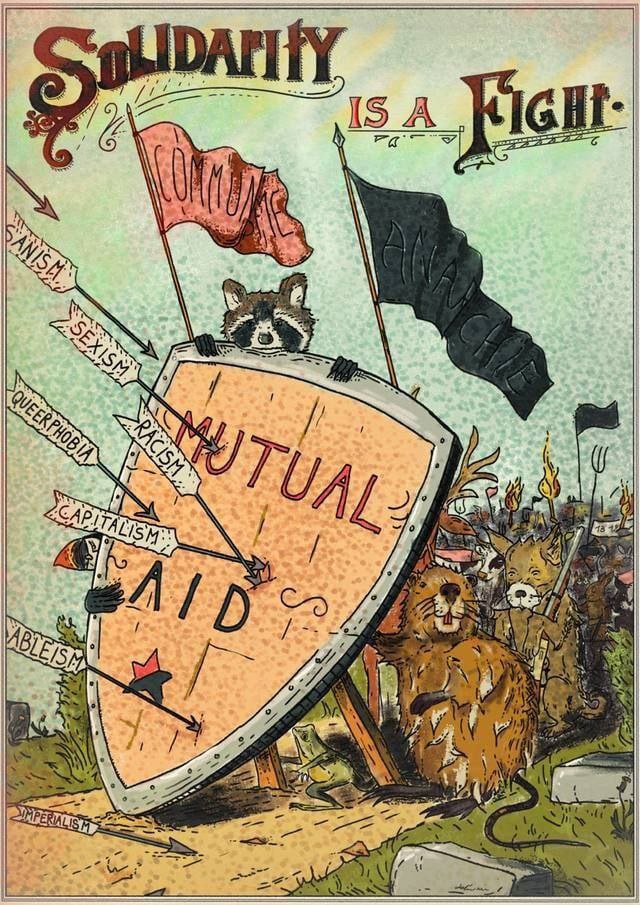 Bild - Solidarity is a Fight.jpg